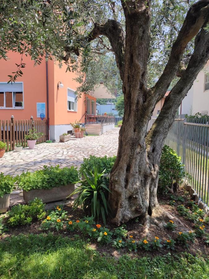 Albergo Villa Mimosa Торболе Экстерьер фото